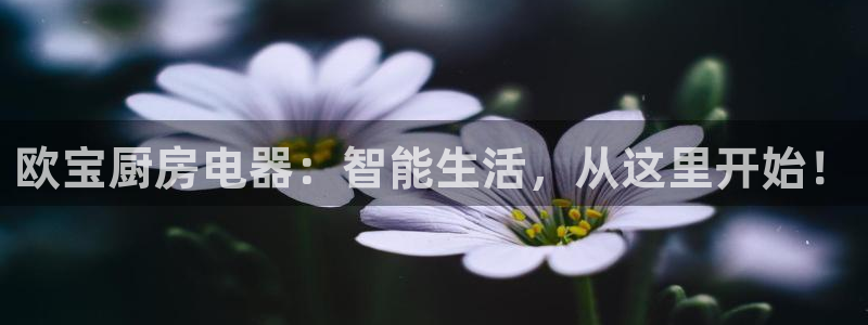鸿运平台英焕