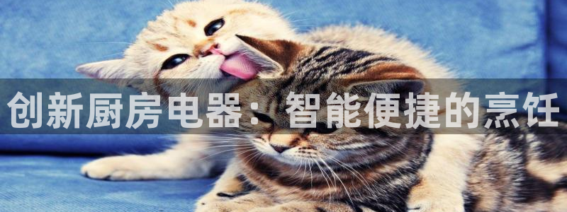 鸿运现场平台开户