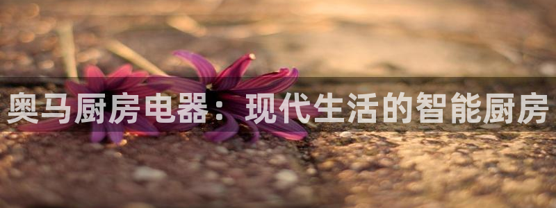 鸿运服务平台官网