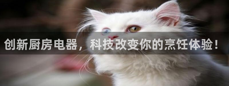 鸿运网上娱乐平台