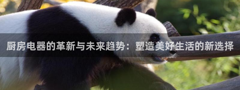 怎么进鸿运彩票平台