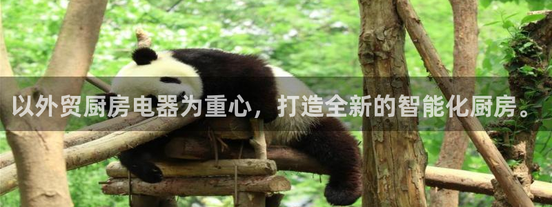 鸿运平台是干嘛的