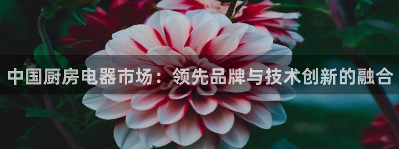 鸿运是黑平台吗