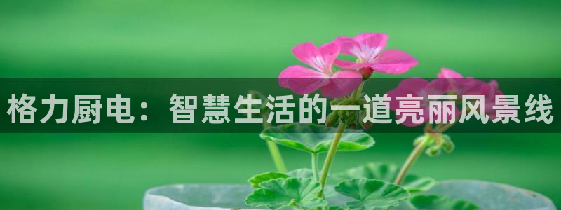 鸿运通贷款平台