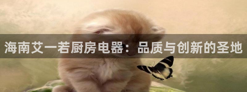 鸿运彩票权威平台