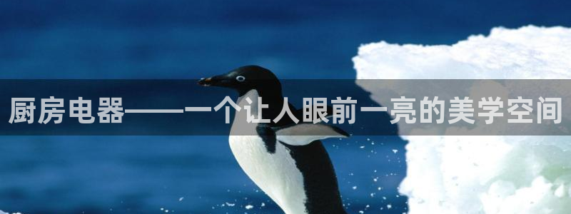 鸿运宝理财平台