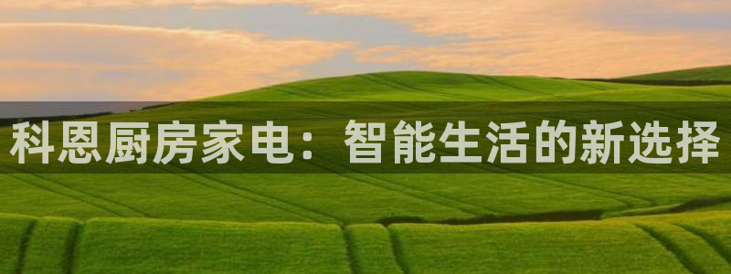 鸿运电商平台