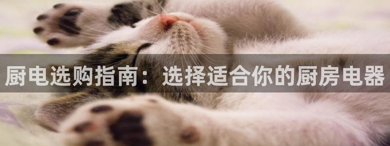 众信鸿运平台
