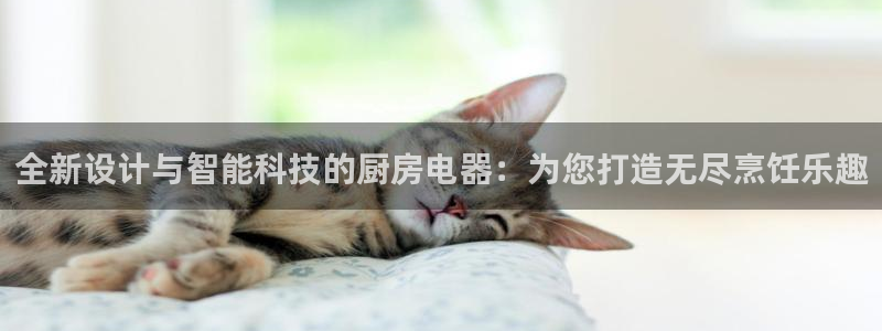 鸿运集团平台官网