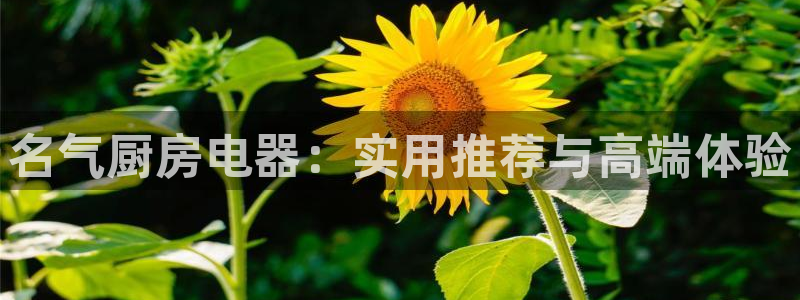 鸿运寄卖回收平台