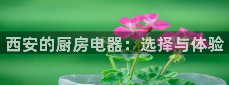 香港鸿运交易平台