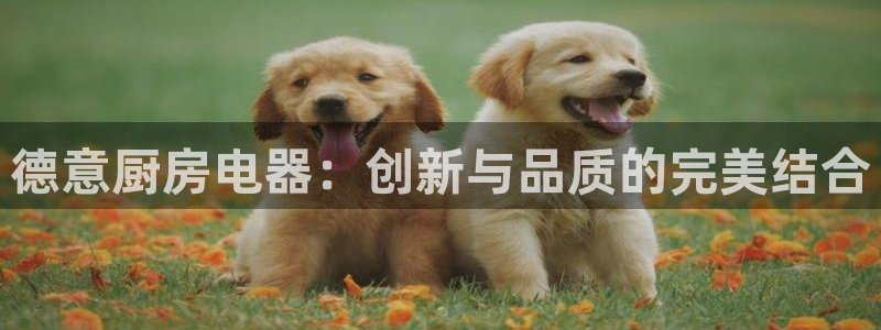鸿运牛牛投注平台开户