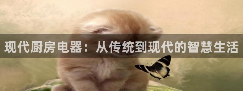 鸿运小说阅读平台