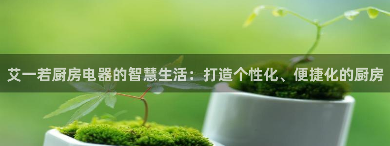 鸿运体育平台网址是什么
