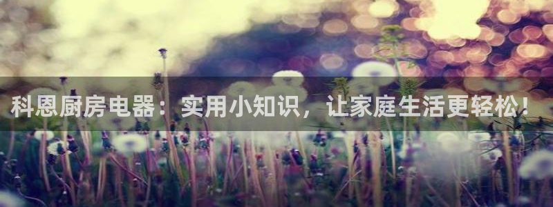 鸿运满堂平台