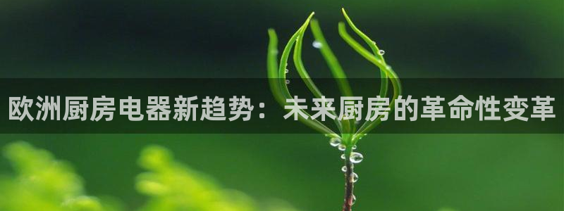 鸿运彩票平台违法吗