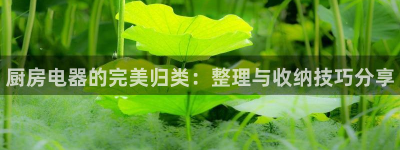 鸿运投注网平台