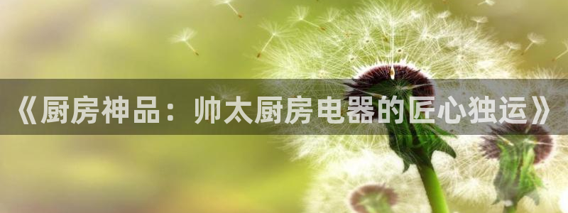 鸿运借款是什么平台