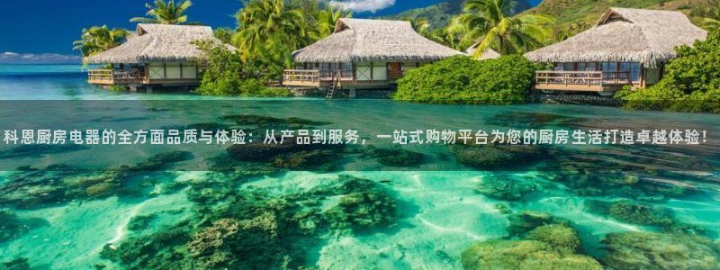 鸿运合拍字画拍卖平台