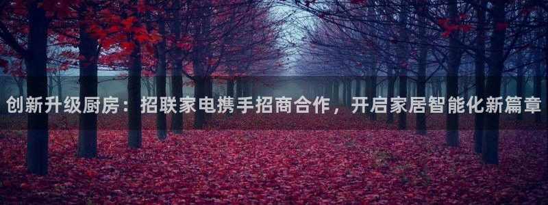 鸿运平台充值
