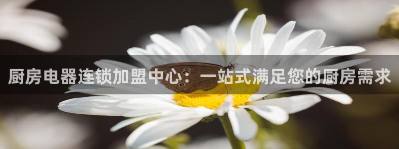 大发鸿运彩票平台