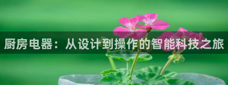 鸿运服务平台