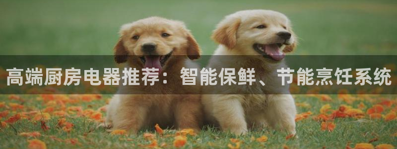 鸿运平台被黑
