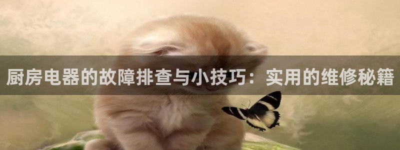 鸿运茶销售平台