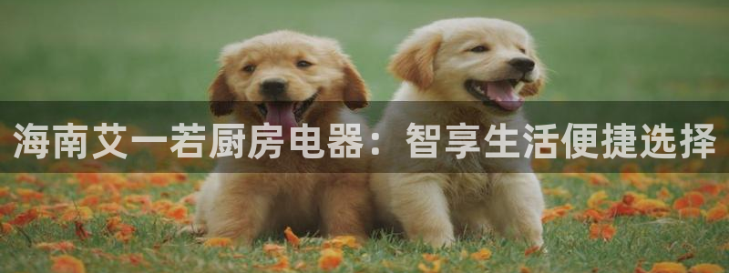 鸿运网是什么平台