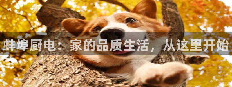 祝火山平台鸿运