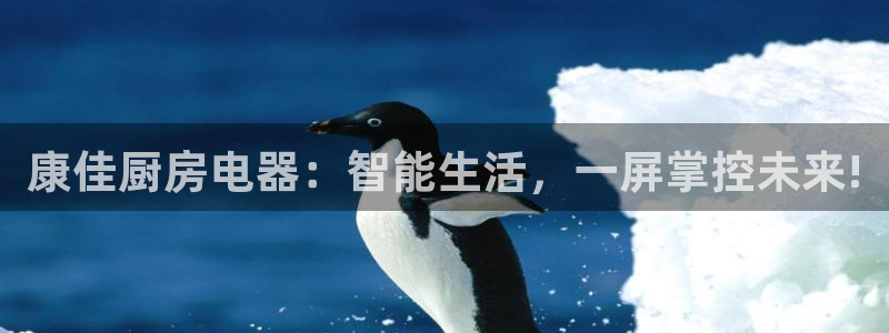 鸿运集团有几个平台