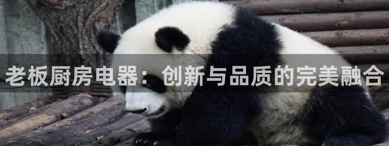 鸿运农场直播平台