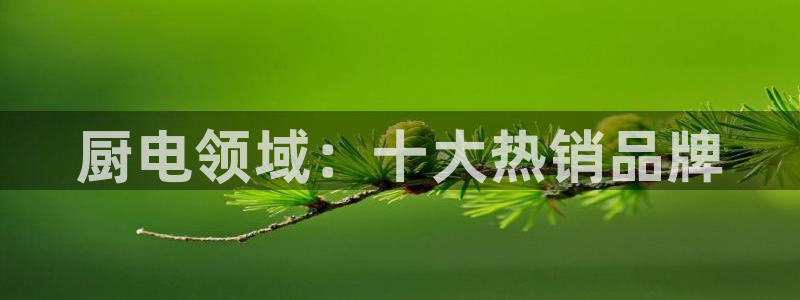 鸿运策略股票平台骗局