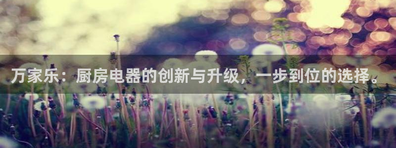 鸿运卡盟平台链接