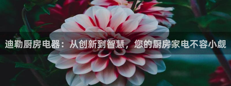 国际鸿运官方平台