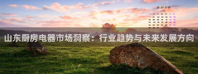 苏州鸿运阁直播平台