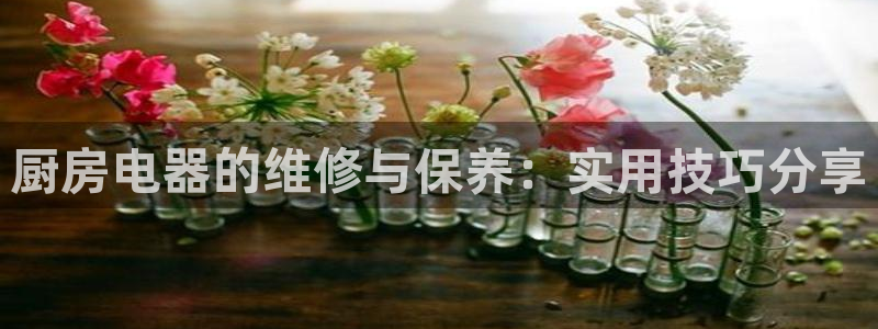 鸿运服务平台是什么
