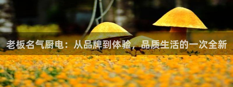 鸿运来手游平台