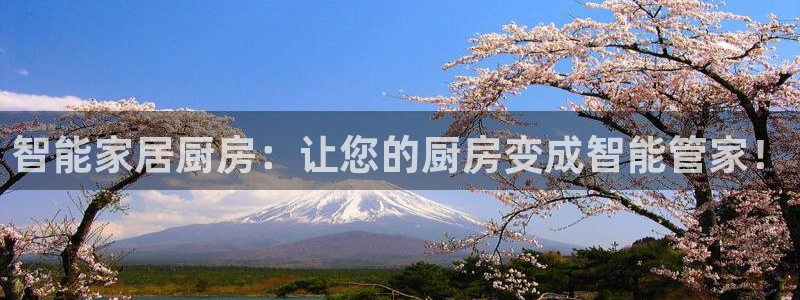 鸿运小说阅读平台