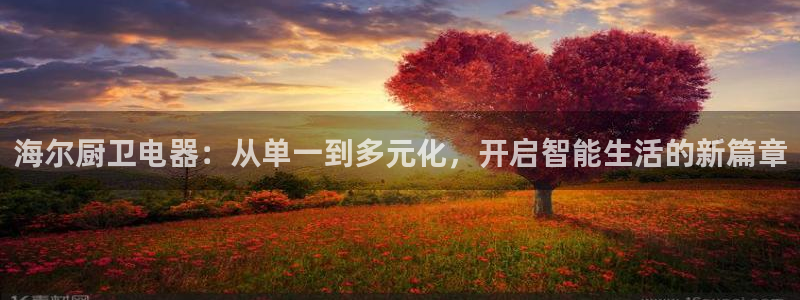 鸿运聊天计划平台