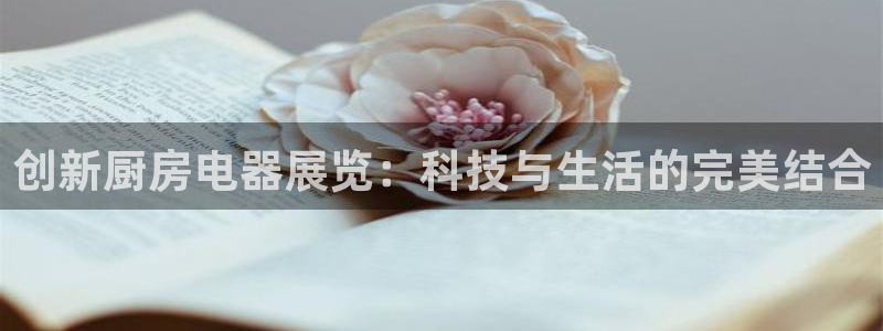 国际鸿运官方平台