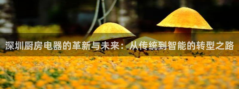 鸿运牛牛投注平台开户