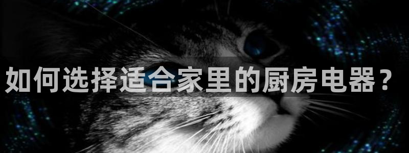 鸿运彩票平台可靠吗