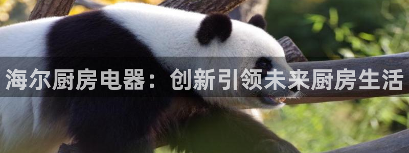 鸿运赌场视讯平台