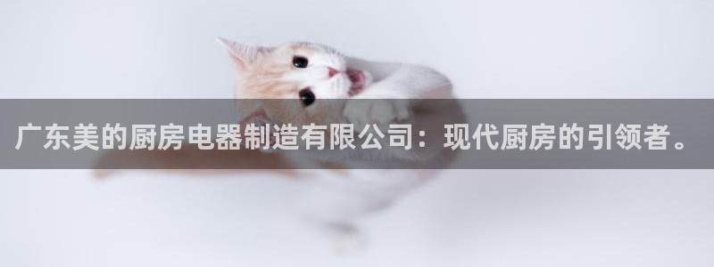 鸿运平台是干嘛的