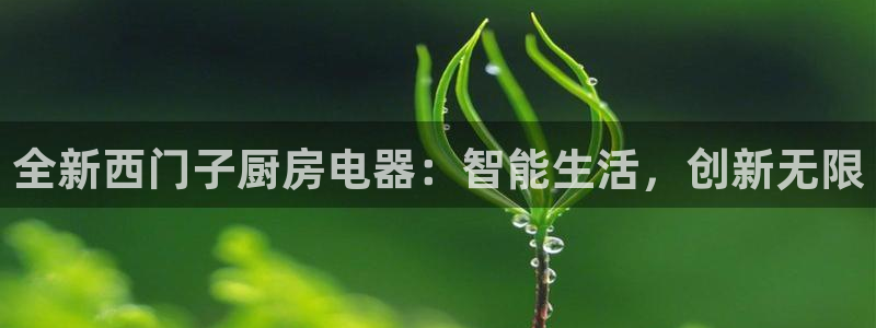 鸿运借款是什么平台